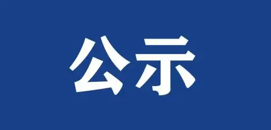 2024年度副高級專業(yè)技術(shù)職務資格申報公示